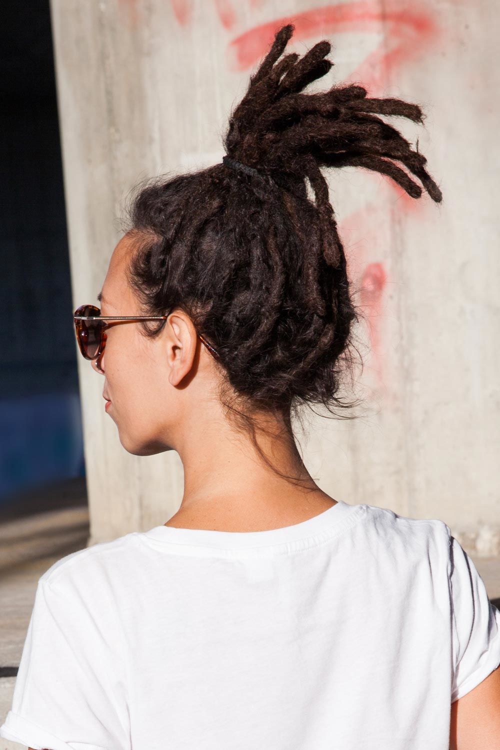 Dreadlocks Ponytail Hairstyle